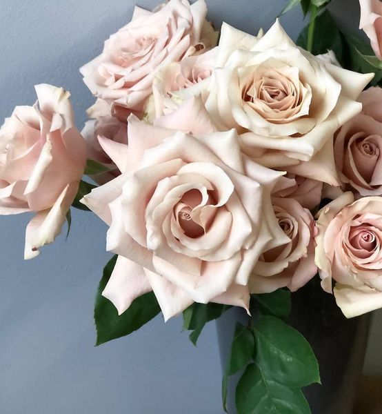 Quicksand Квіксенд ОСІНЬ 2025 513 фото