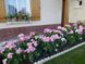 Bouquet de Mariee Буке де Марі ОСІНЬ 2026 39 фото 2