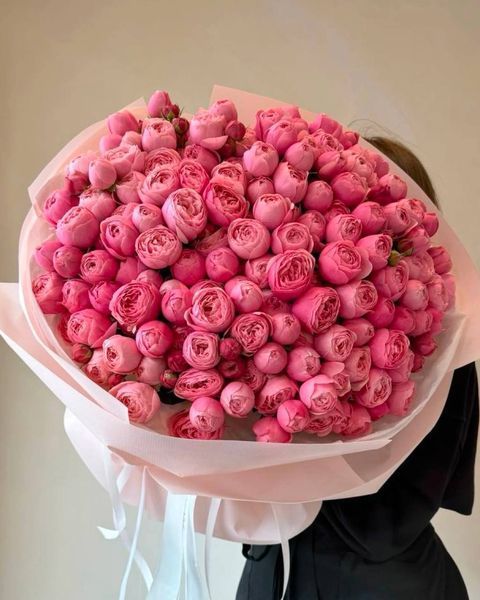 Silva Pink Сі́лва Пінк ОСІНЬ 2026 664428 фото