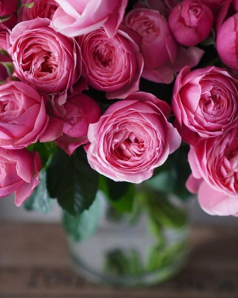 Silva Pink Сі́лва Пінк ОСІНЬ 2026 664428 фото