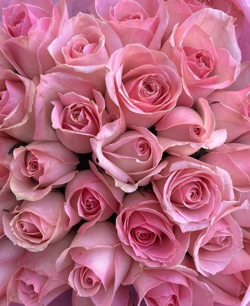 Avalanche Sorbet Аваланш Сорбе ОСІНЬ 2026 76346 фото