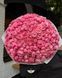 Silva Pink Сі́лва Пінк ОСІНЬ 2026 664428 фото 24