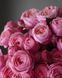 Silva Pink Сі́лва Пінк ОСІНЬ 2026 664428 фото 10