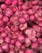 Silva Pink Сі́лва Пінк ОСІНЬ 2026 664428 фото 22