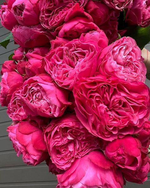 Frozen Summerhouse Фро́узен Са́ммерхаус ОСІНЬ 2026 994689 фото