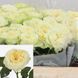 Country Spirit Wedding Ка́нтрі Спі́ріт Ве́дінґ ОСІНЬ 2026 654334567 фото 9