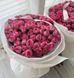 Pretty Giselle Прітті Жизе́ль ОСІНЬ 2026 234565432 фото 36