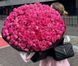 Pretty Giselle Прітті Жизе́ль ОСІНЬ 2026 234565432 фото 35