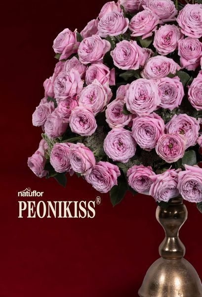 Peonikiss Піоні Кісс ЗКС ЛІТО 2026 1020 фото
