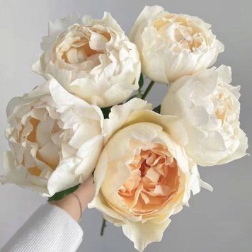 Ivory Yves Piaget Айво́рі І́в П&rsquo;яже́ ОСІНЬ 2026 3434343255 фото