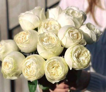 Pure Blonde Пьюр Блонд ВЕСНА 2026 505 фото